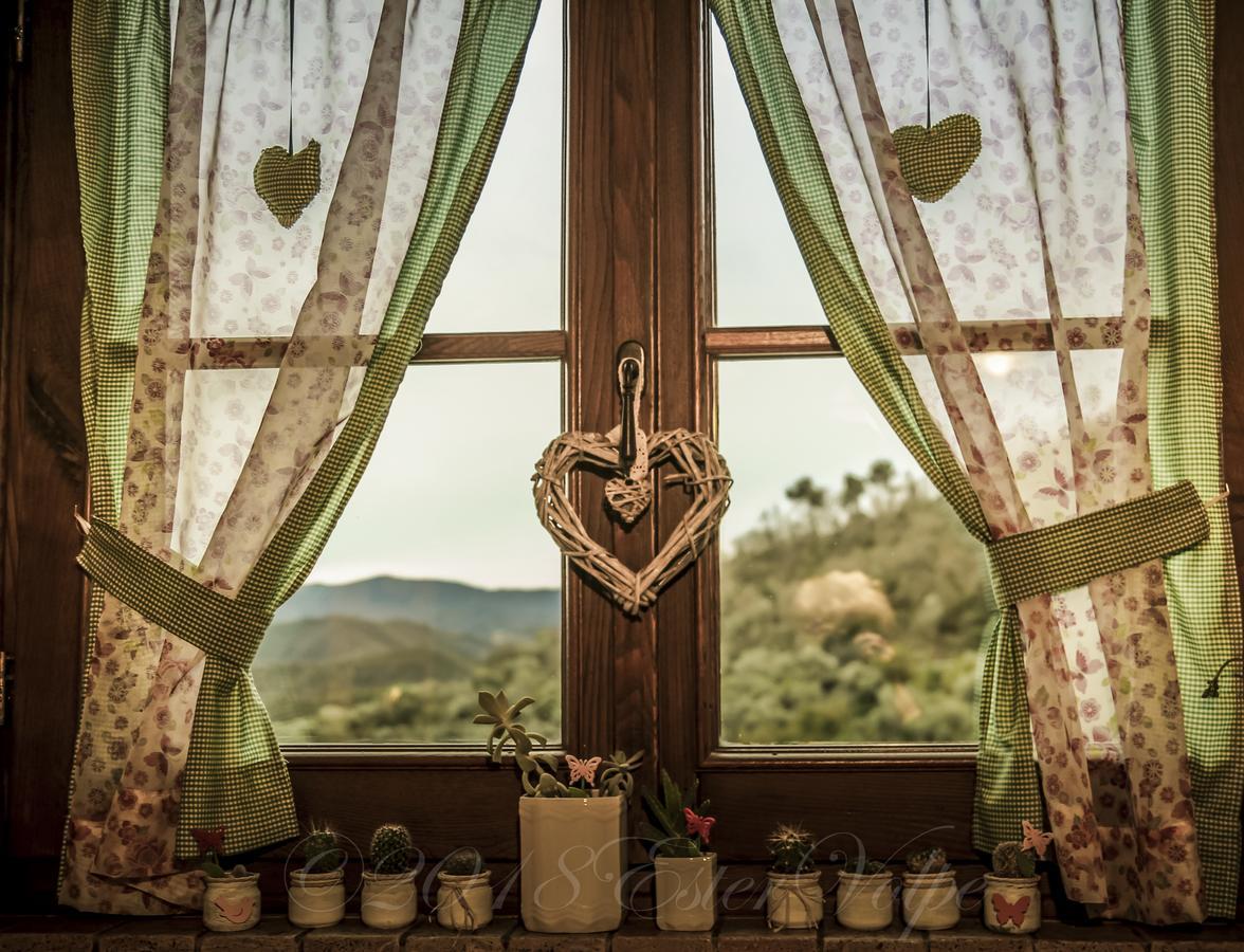 Bed & Breakfast Ca' Di Vissai Arnasco Eksteriør bilde