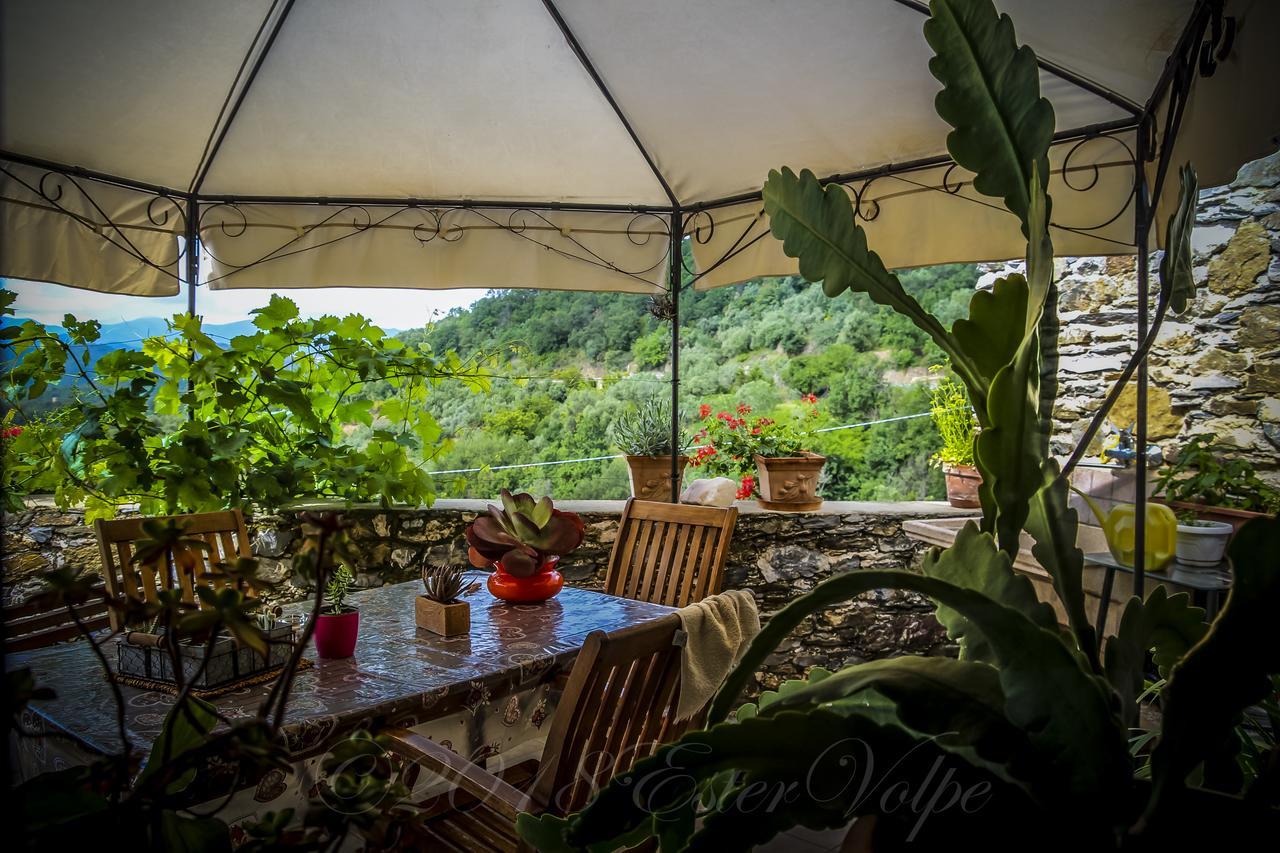 Bed & Breakfast Ca' Di Vissai Arnasco Eksteriør bilde